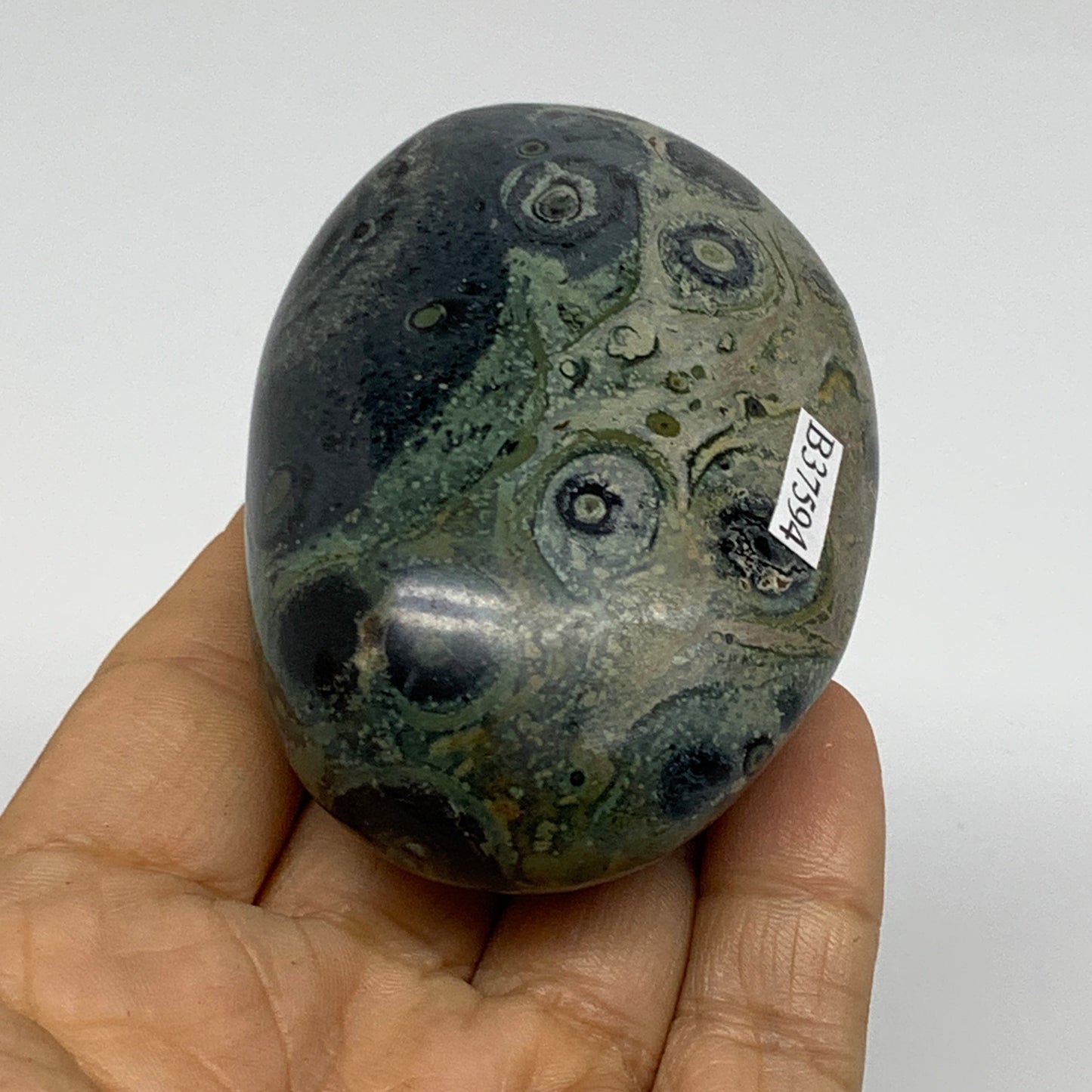 183.2g, 3"x2"x1.2", Crocodile Kambaba Jasper Palm-Stone, B37594