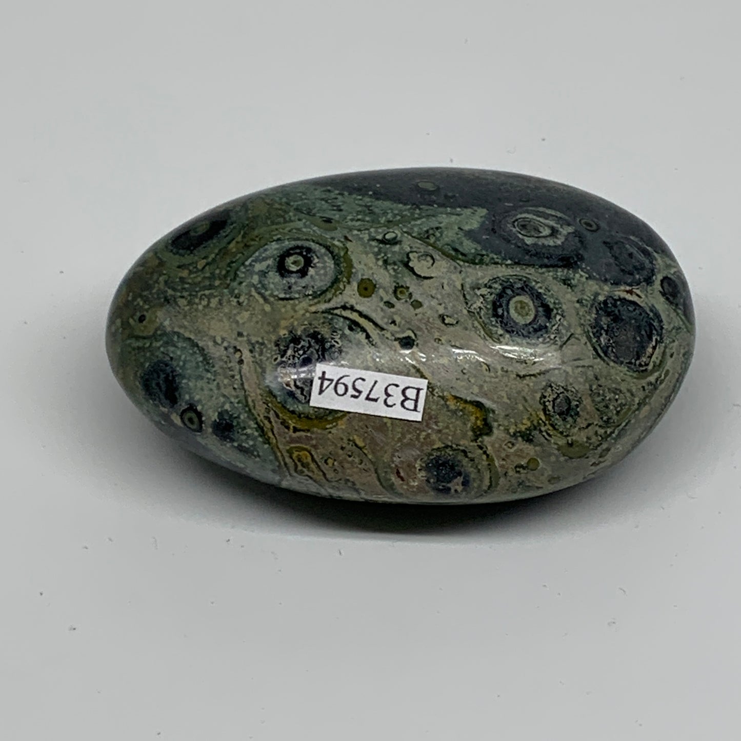 183.2g, 3"x2"x1.2", Crocodile Kambaba Jasper Palm-Stone, B37594