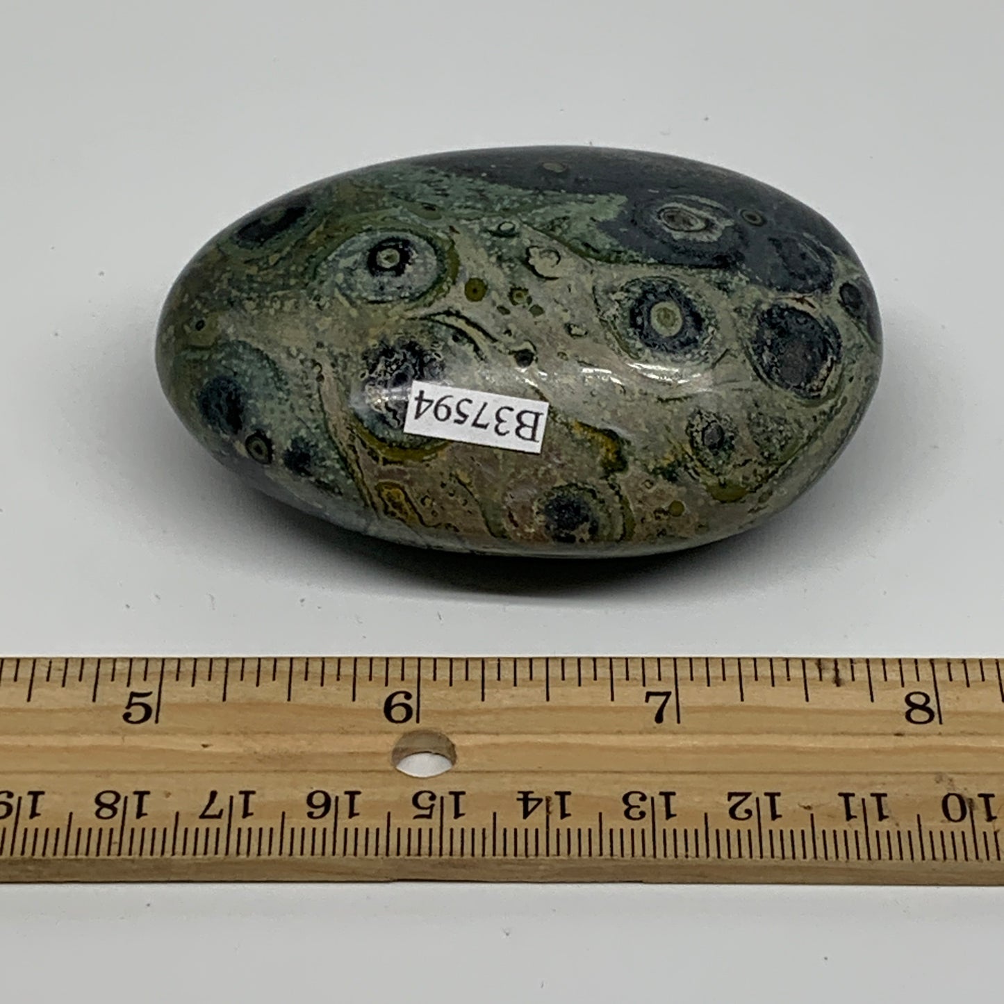 183.2g, 3"x2"x1.2", Crocodile Kambaba Jasper Palm-Stone, B37594