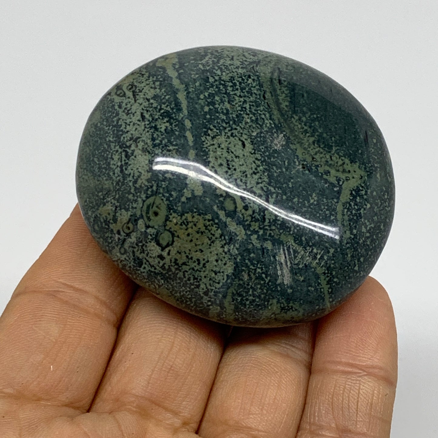 105.6g, 2.2"x2"x1", Crocodile Kambaba Jasper Palm-Stone, B37595