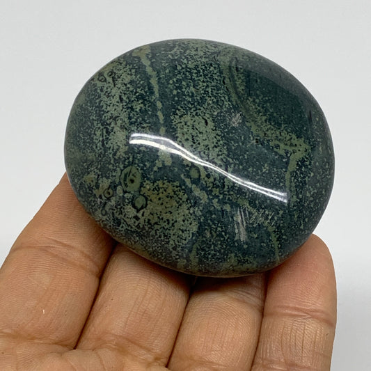 105.6g, 2.2"x2"x1", Crocodile Kambaba Jasper Palm-Stone, B37595