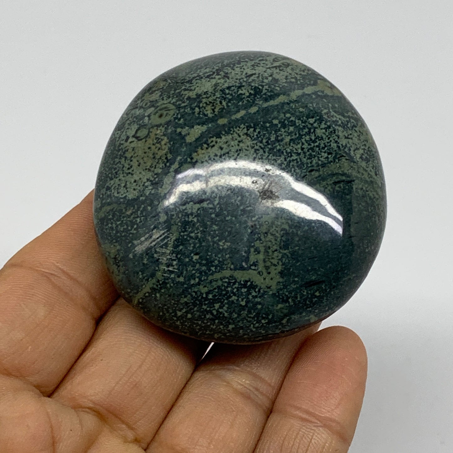 105.6g, 2.2"x2"x1", Crocodile Kambaba Jasper Palm-Stone, B37595