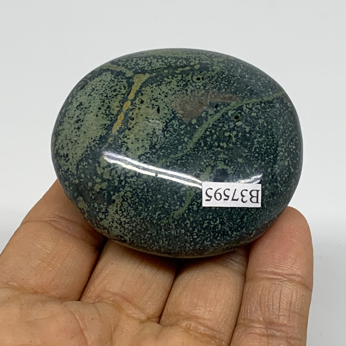 105.6g, 2.2"x2"x1", Crocodile Kambaba Jasper Palm-Stone, B37595