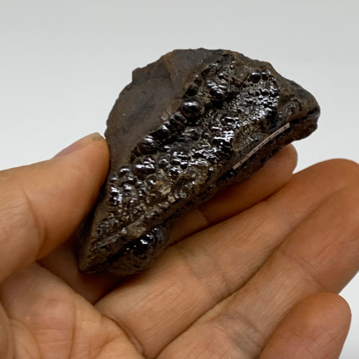 85g, 2.4"x1.1"x1.2", Rough Hematite Botryoidal Mineral Crystal, B38451