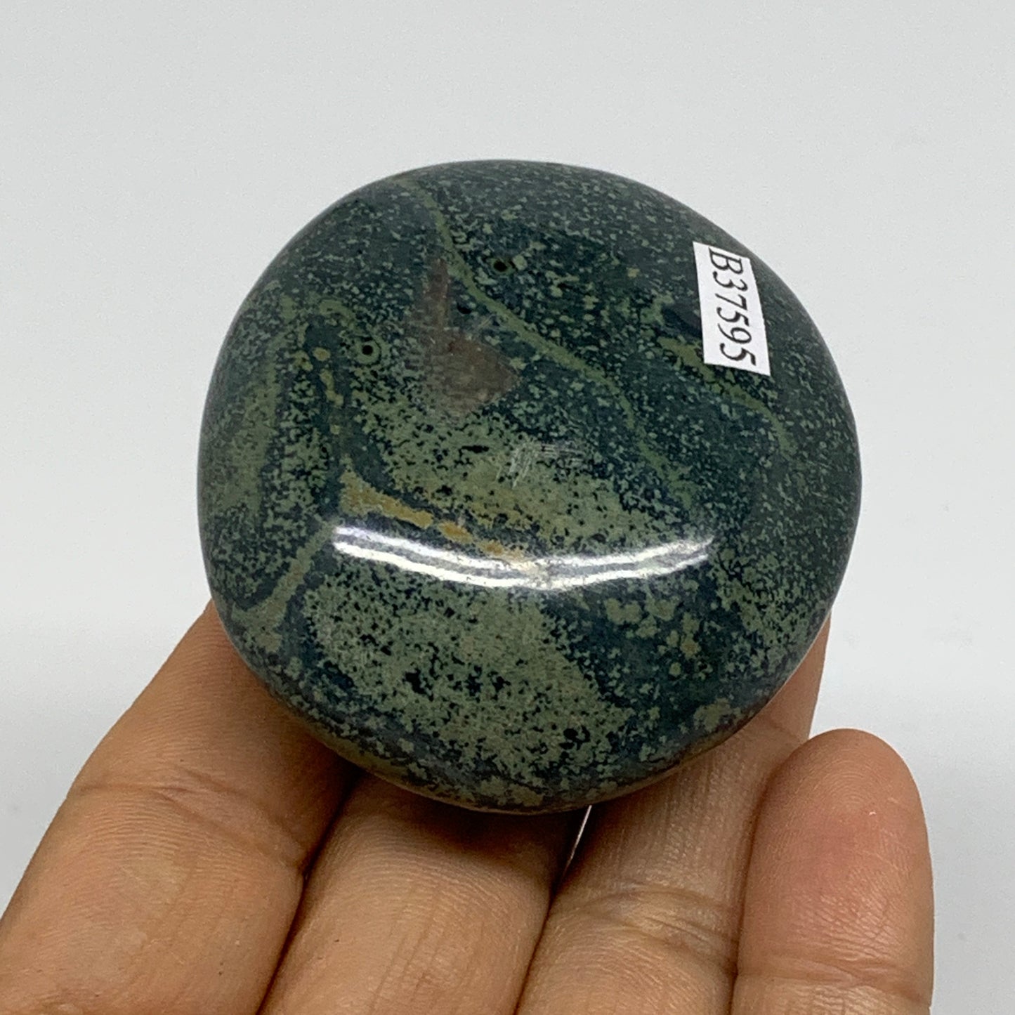 105.6g, 2.2"x2"x1", Crocodile Kambaba Jasper Palm-Stone, B37595