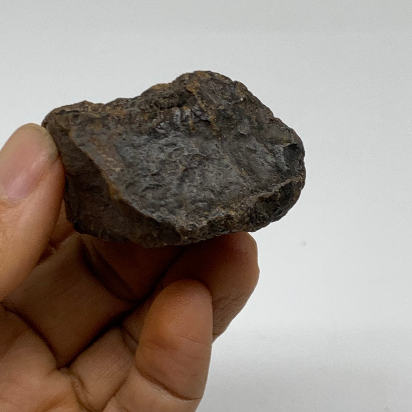 85g, 2.4"x1.1"x1.2", Rough Hematite Botryoidal Mineral Crystal, B38451