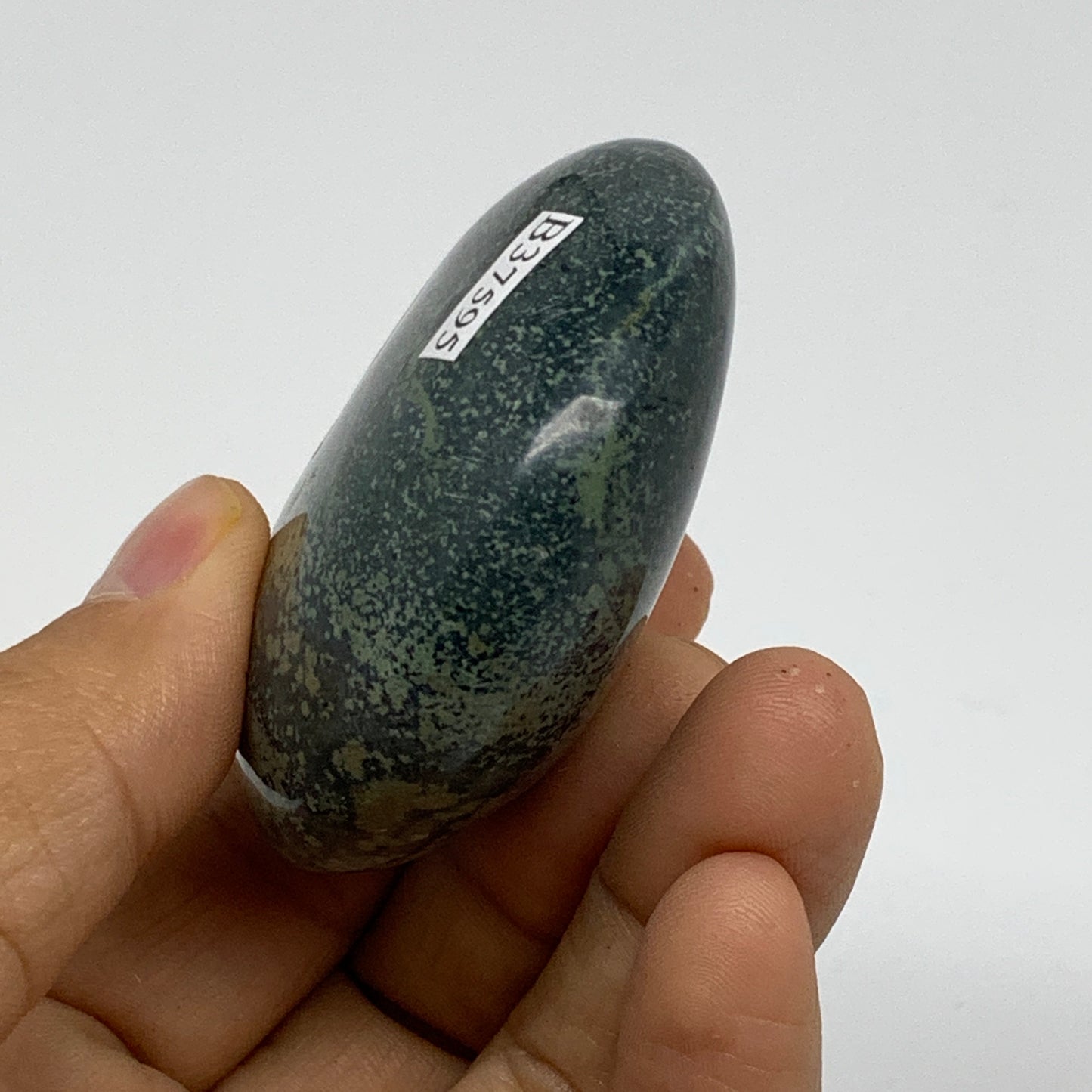 105.6g, 2.2"x2"x1", Crocodile Kambaba Jasper Palm-Stone, B37595