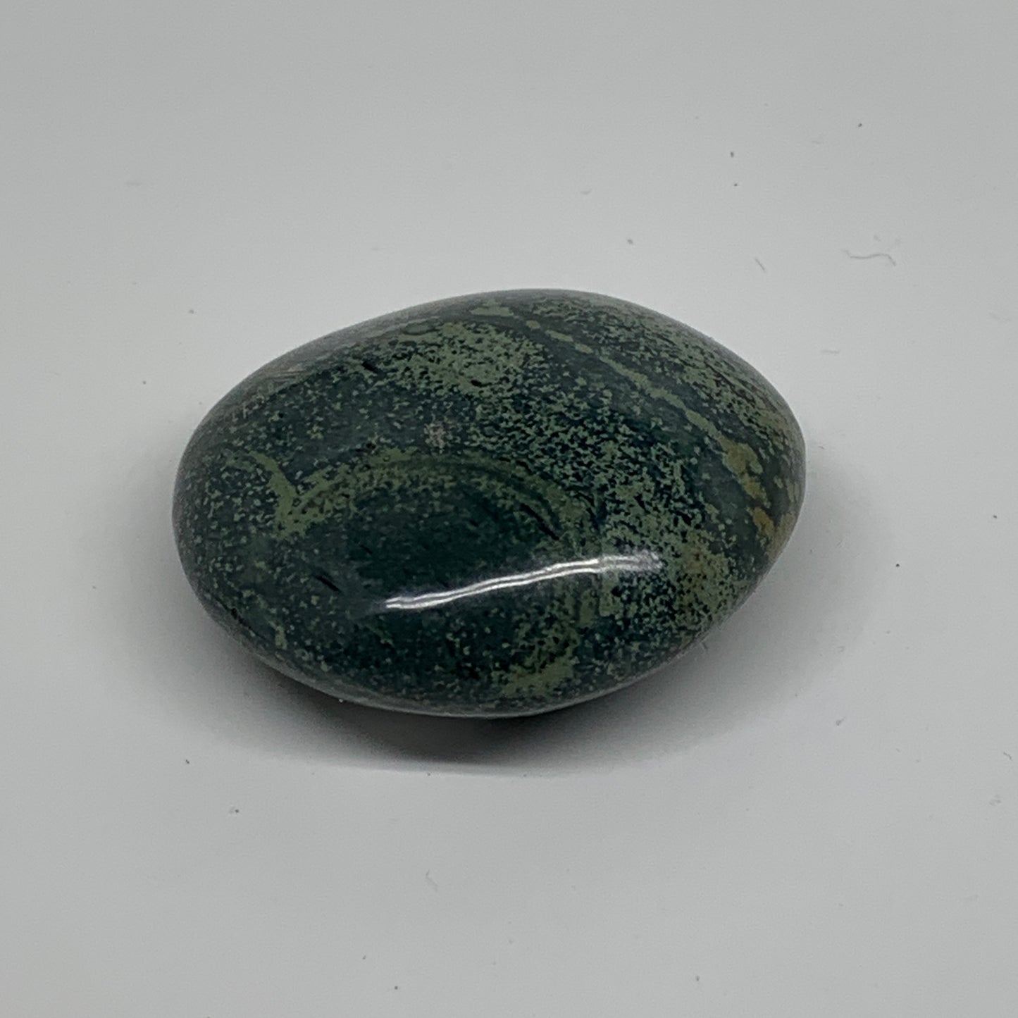 105.6g, 2.2"x2"x1", Crocodile Kambaba Jasper Palm-Stone, B37595