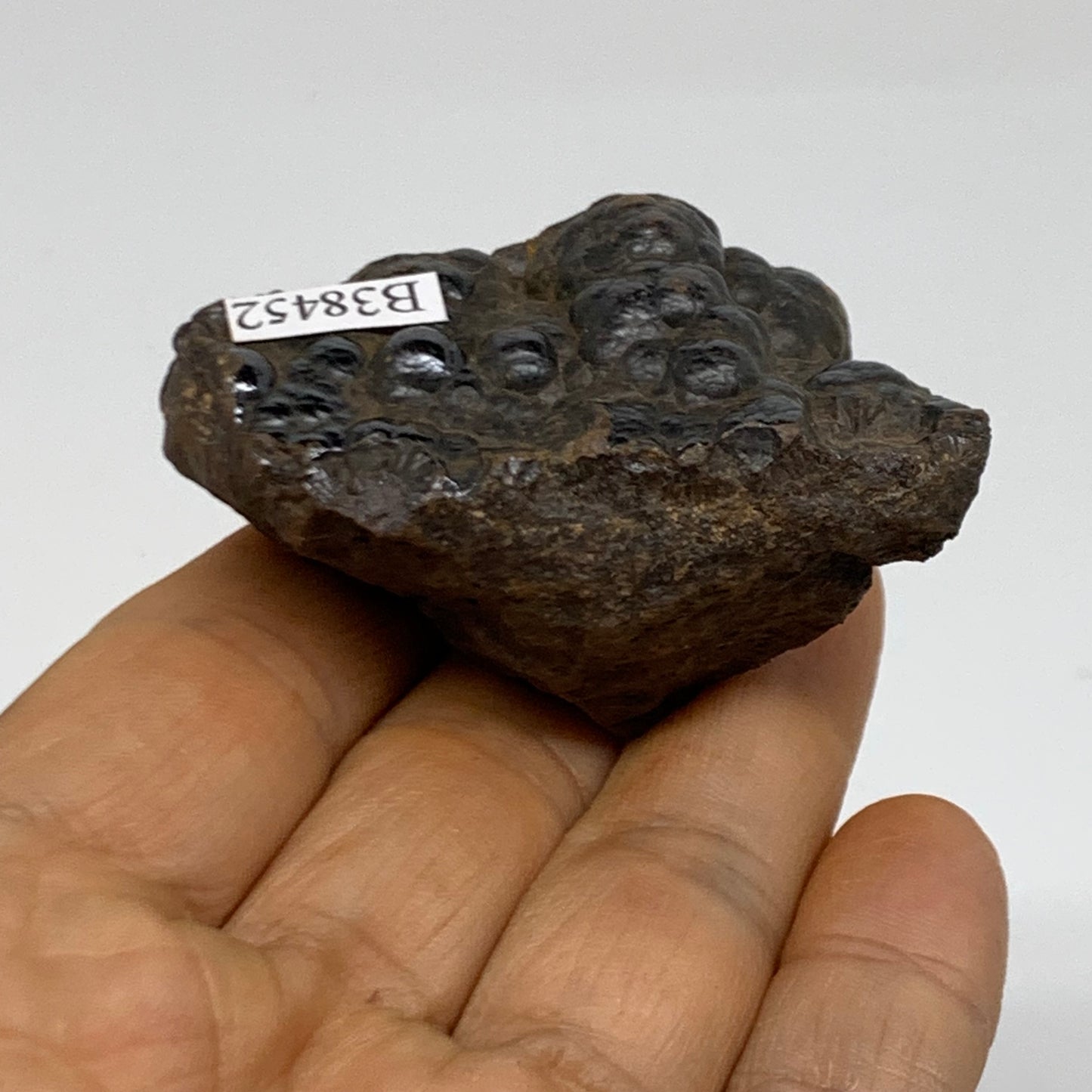 100g, 2.2"x1.3"x1.4", Rough Hematite Botryoidal Mineral Crystal, B38452