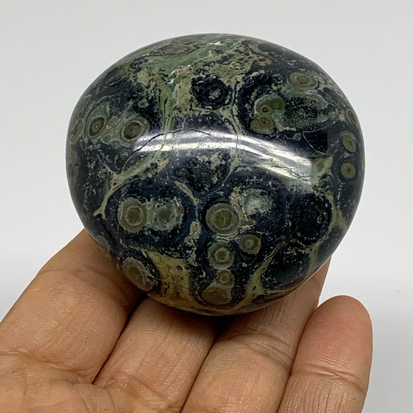 177g, 2.3"x2.3"x1.5", Crocodile Kambaba Jasper Palm-Stone @Madagascar, B37596