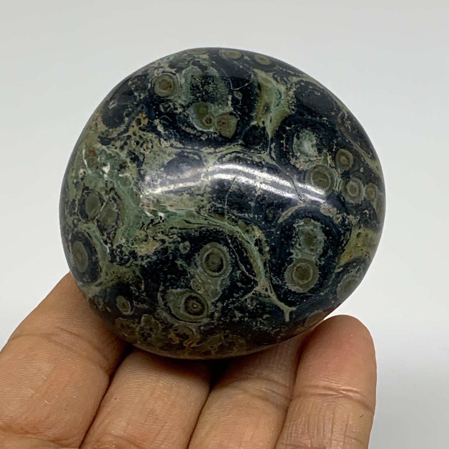 177g, 2.3"x2.3"x1.5", Crocodile Kambaba Jasper Palm-Stone @Madagascar, B37596