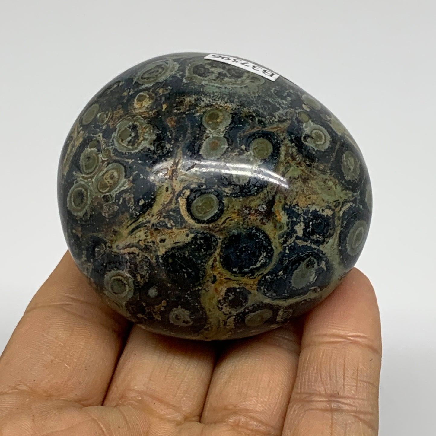 177g, 2.3"x2.3"x1.5", Crocodile Kambaba Jasper Palm-Stone @Madagascar, B37596