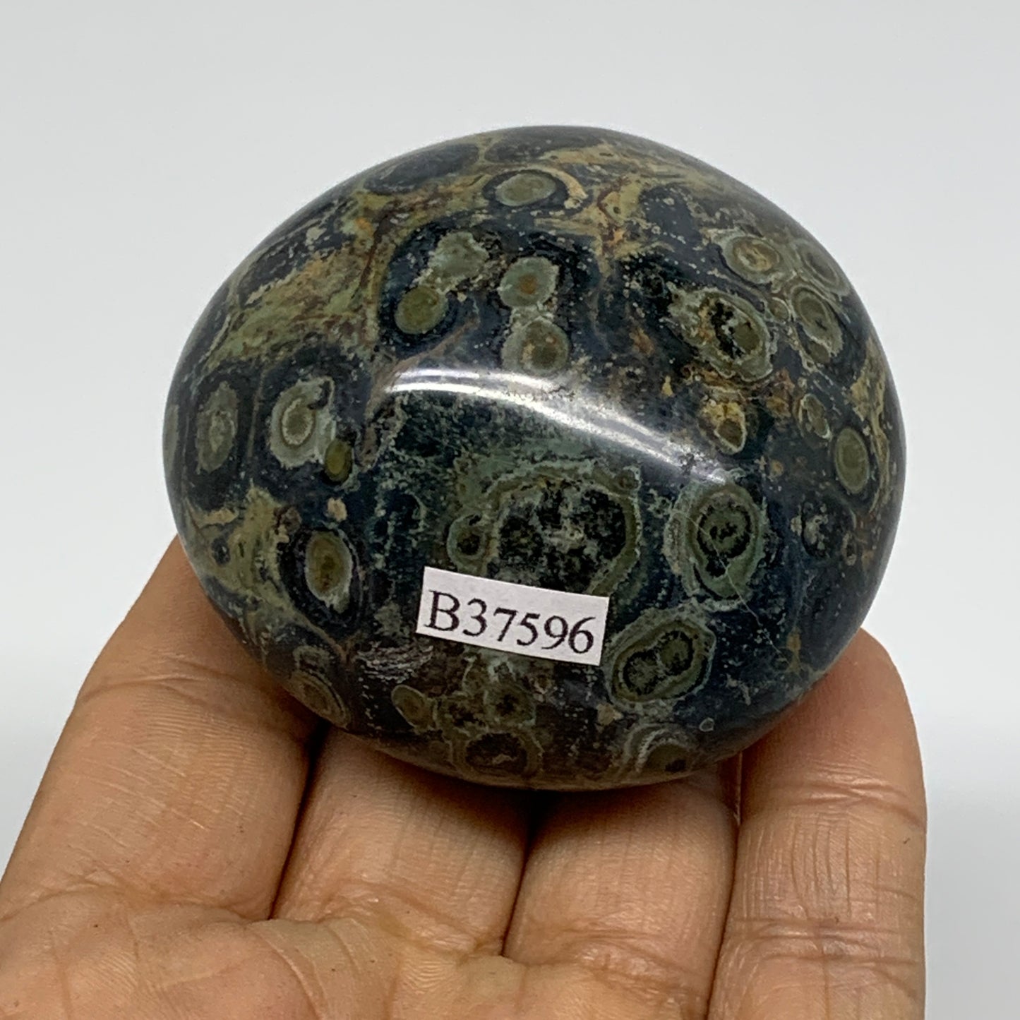 177g, 2.3"x2.3"x1.5", Crocodile Kambaba Jasper Palm-Stone @Madagascar, B37596