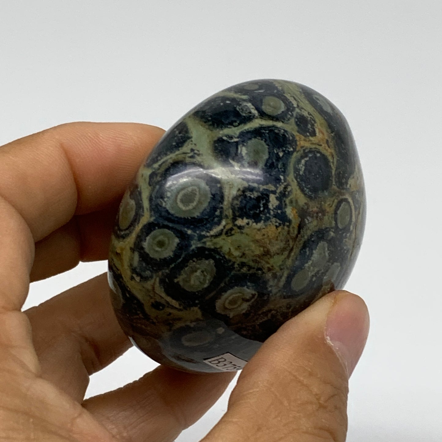 177g, 2.3"x2.3"x1.5", Crocodile Kambaba Jasper Palm-Stone @Madagascar, B37596