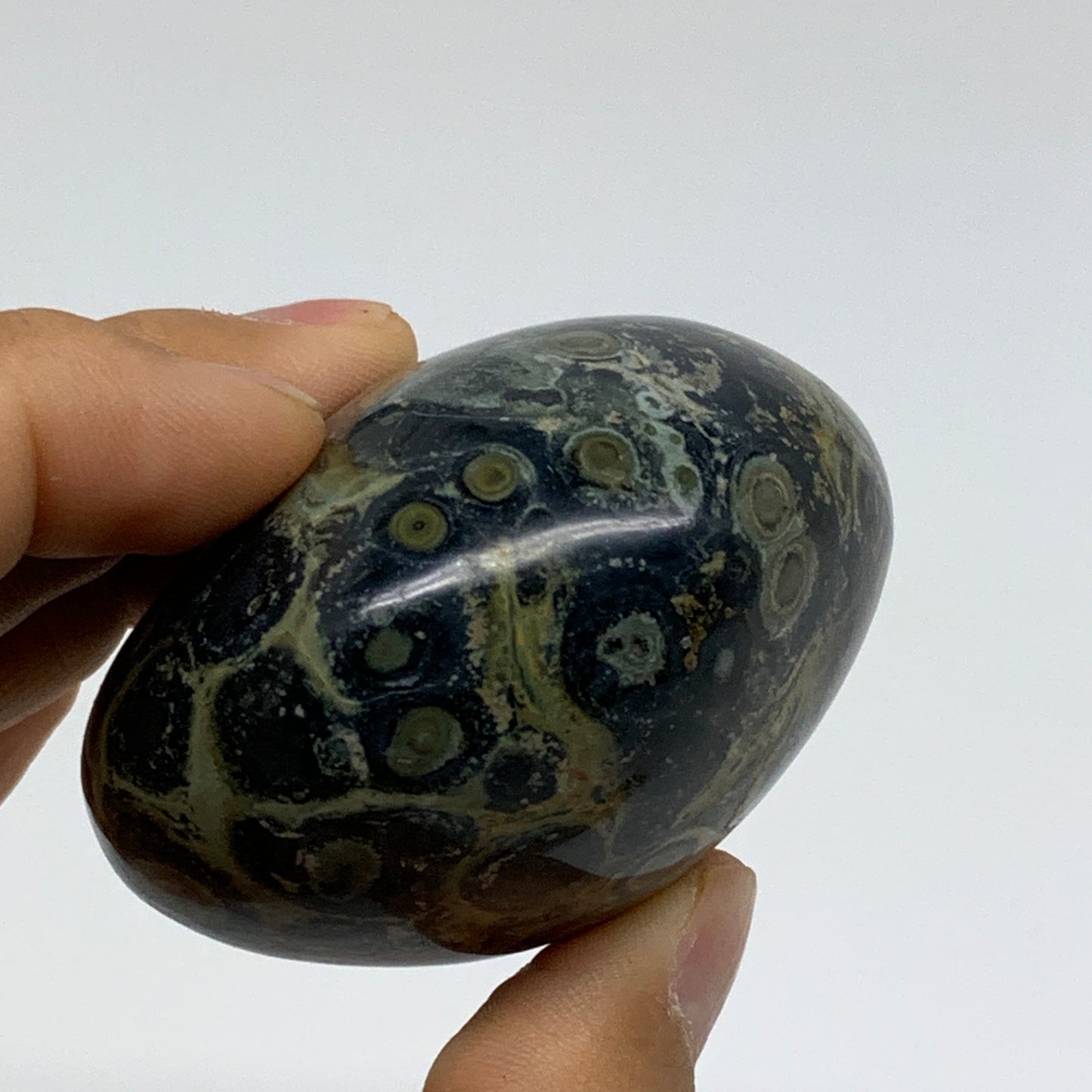 177g, 2.3"x2.3"x1.5", Crocodile Kambaba Jasper Palm-Stone @Madagascar, B37596