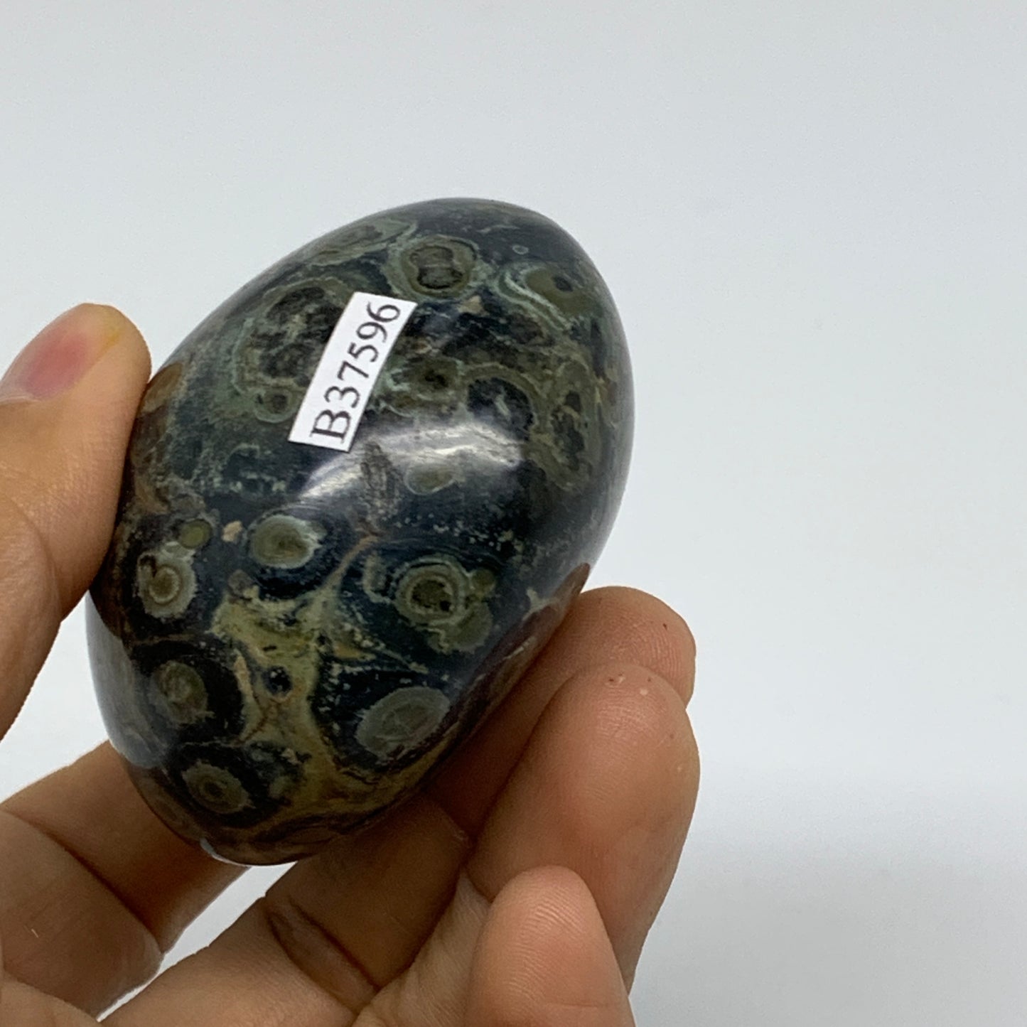 177g, 2.3"x2.3"x1.5", Crocodile Kambaba Jasper Palm-Stone @Madagascar, B37596