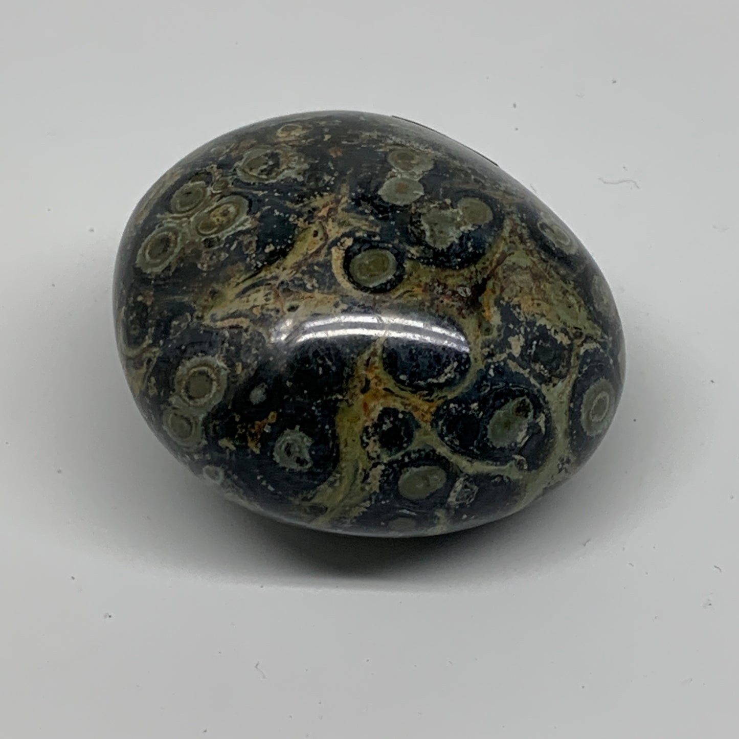177g, 2.3"x2.3"x1.5", Crocodile Kambaba Jasper Palm-Stone @Madagascar, B37596