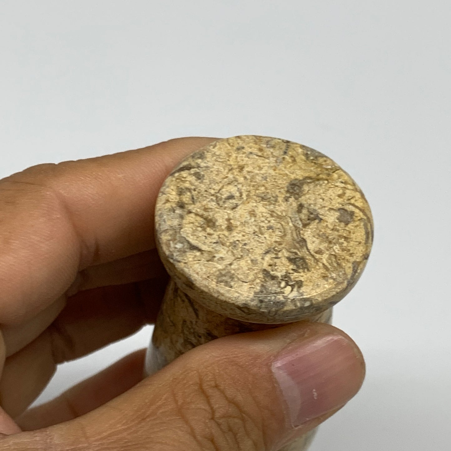 1.19 lbs,  3"x3", Natural Brown Fossils Crystal Pestle and Mortar Handmade, B325