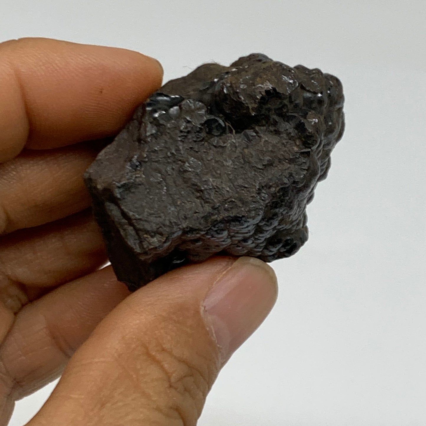 130g, 1.8" - 2", 2 pcs, Rough Hematite Botryoidal Mineral Crystal, B38458