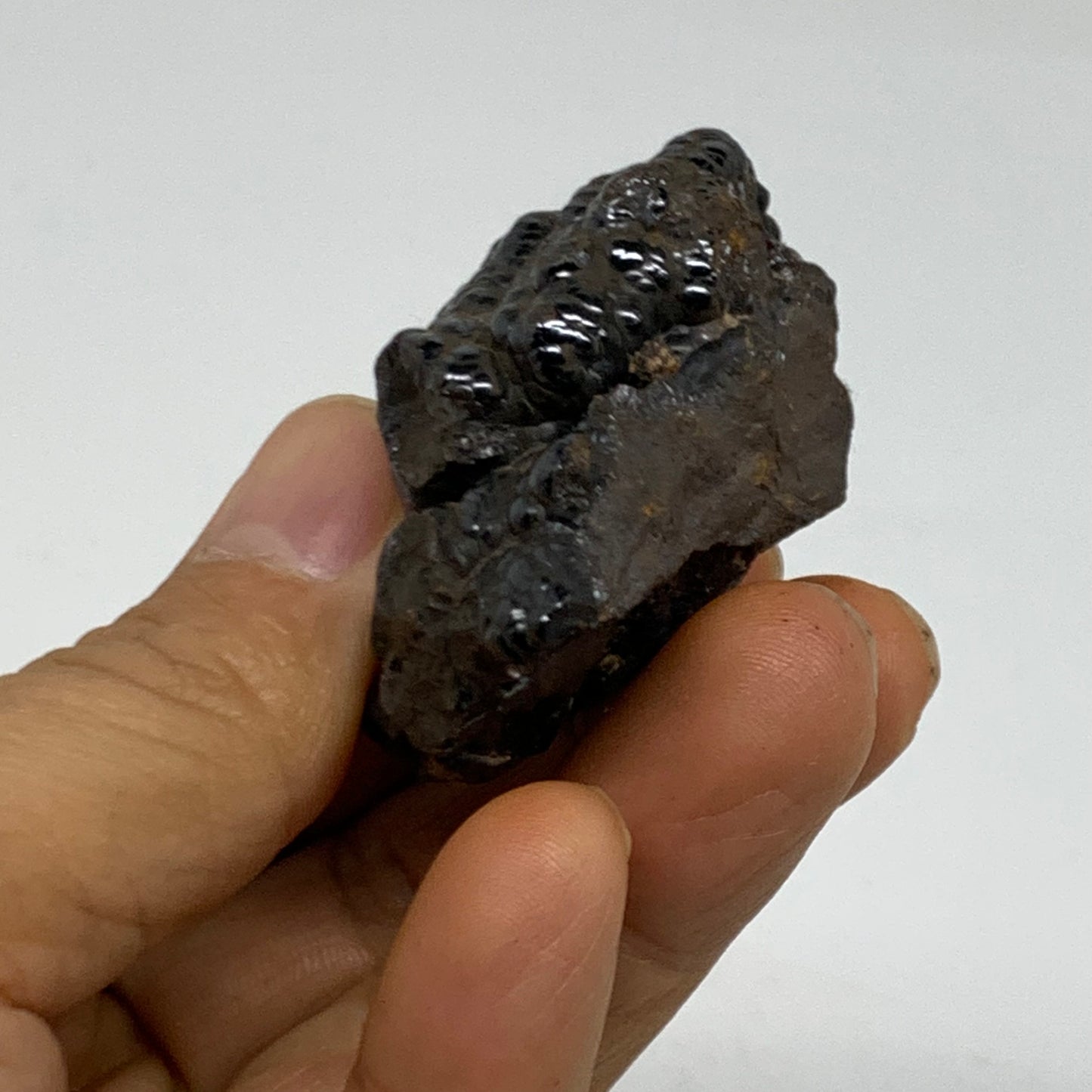 130g, 1.8" - 2", 2 pcs, Rough Hematite Botryoidal Mineral Crystal, B38458