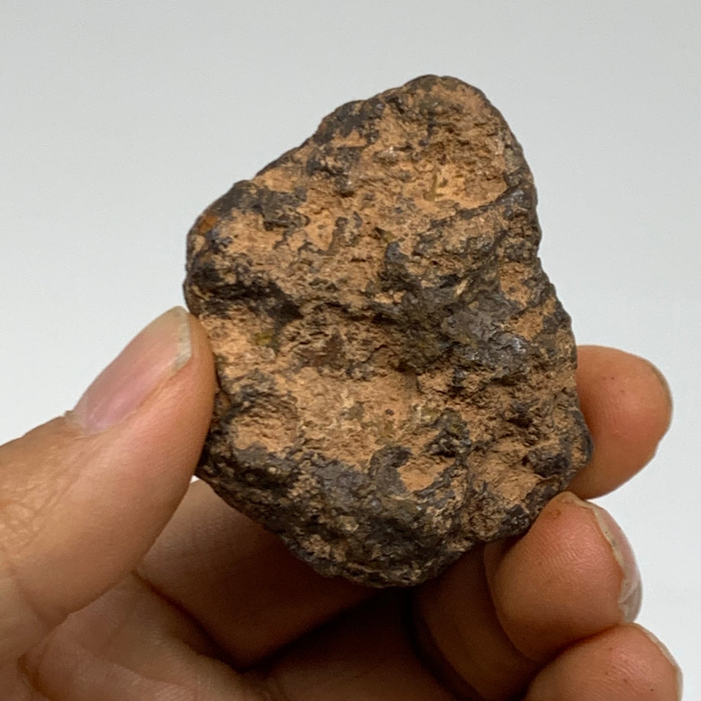 130g, 1.8" - 2", 2 pcs, Rough Hematite Botryoidal Mineral Crystal, B38458