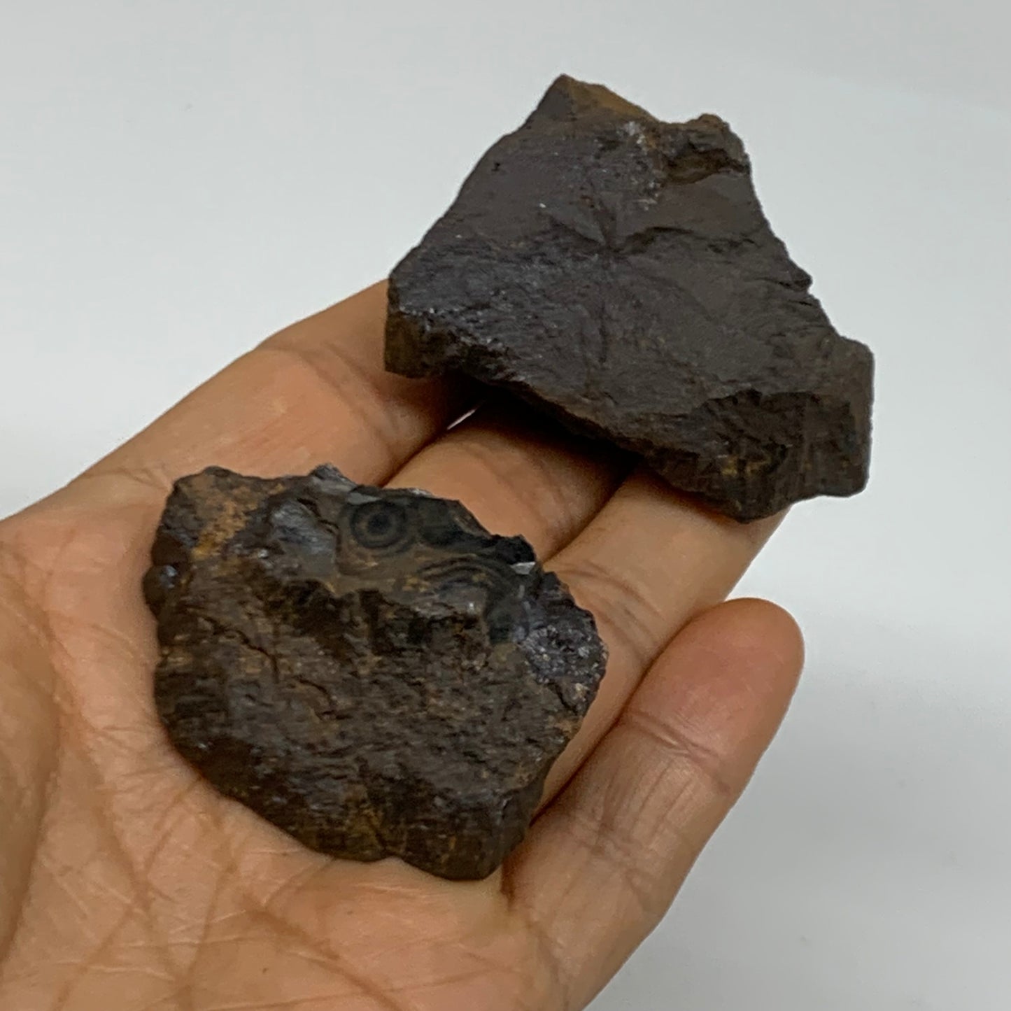 124.9g, 1.8" - 2", 2 pcs, Rough Hematite Botryoidal Mineral Crystal, B38459