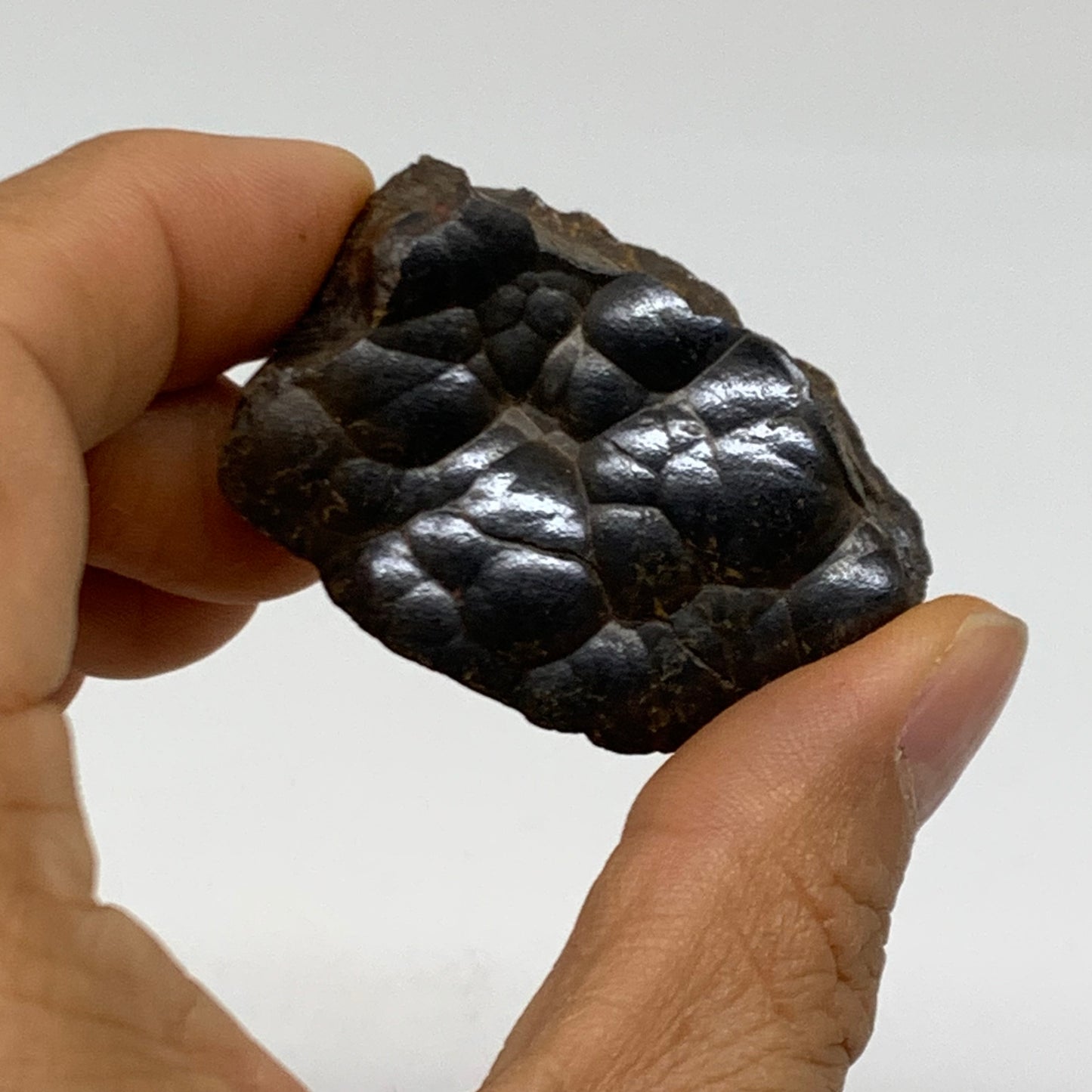 124.9g, 1.8" - 2", 2 pcs, Rough Hematite Botryoidal Mineral Crystal, B38459