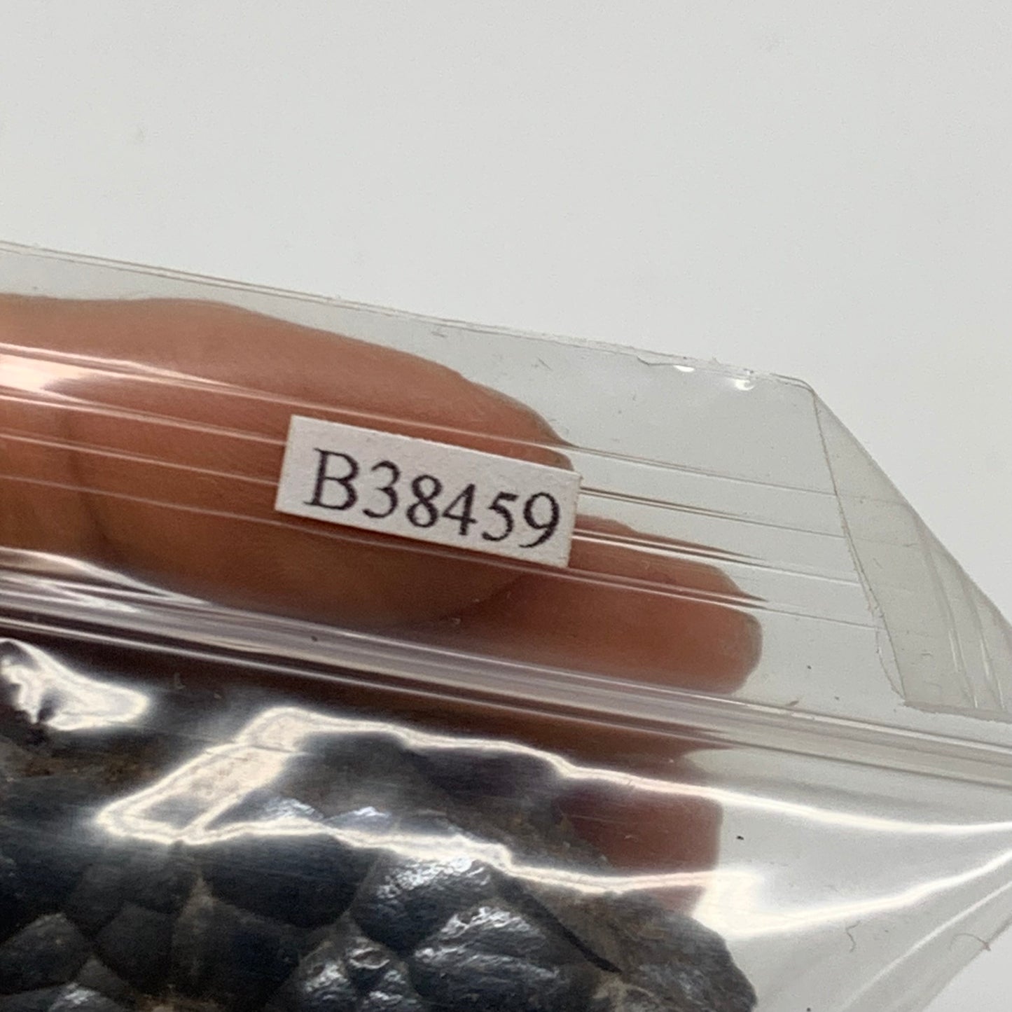 124.9g, 1.8" - 2", 2 pcs, Rough Hematite Botryoidal Mineral Crystal, B38459