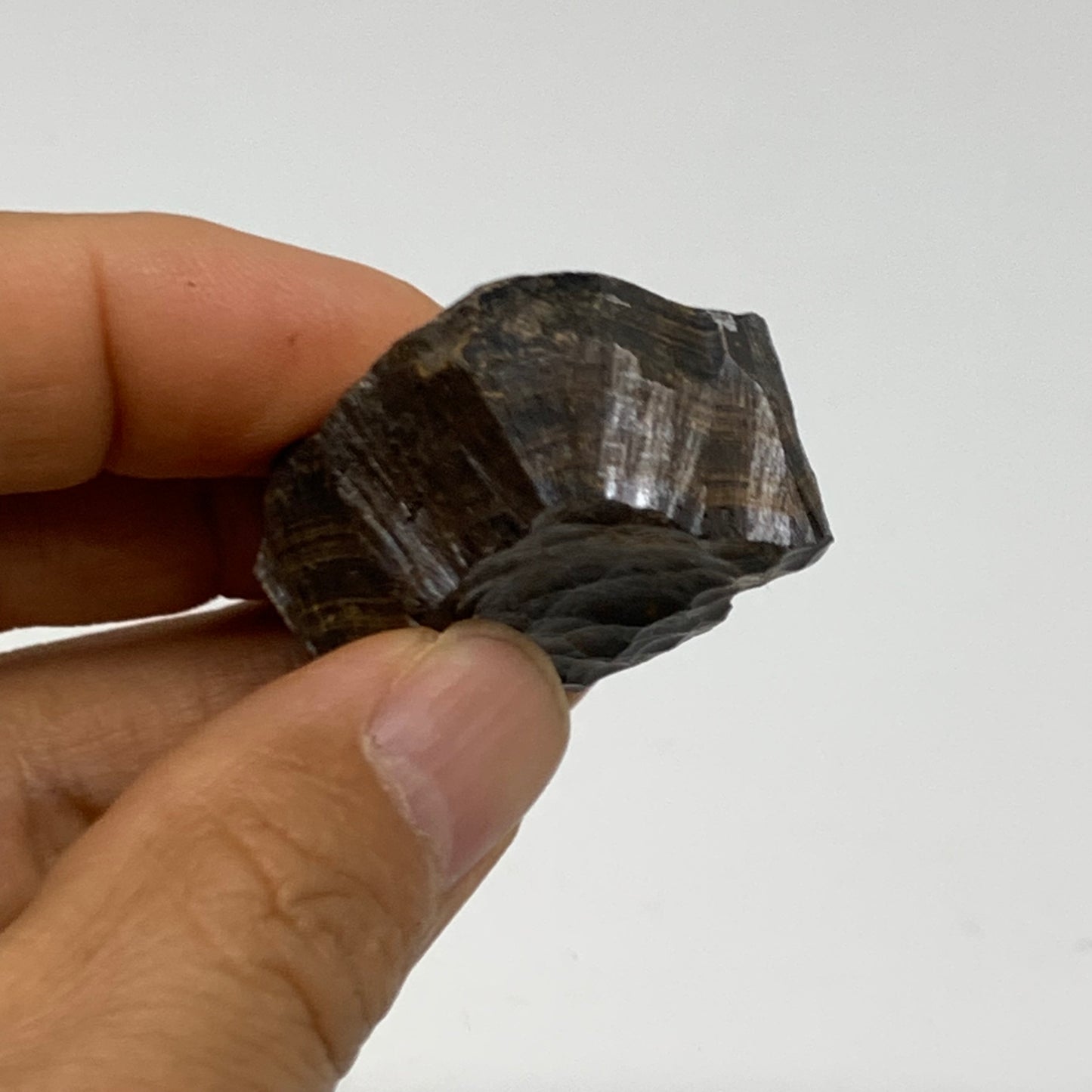 109.9g, 1.6" - 1.6", 2 pcs, Rough Hematite Botryoidal Mineral Crystal, B38461