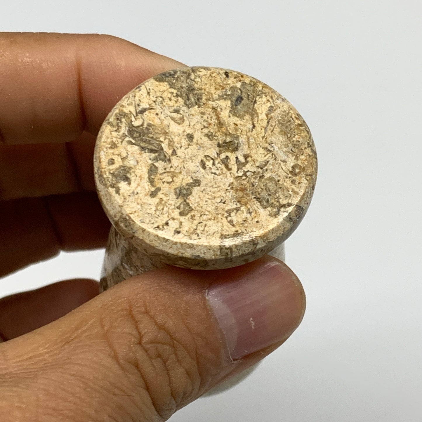 1.22 lbs,  3"x3", Natural Brown Fossils Crystal Pestle and Mortar Handmade, B325