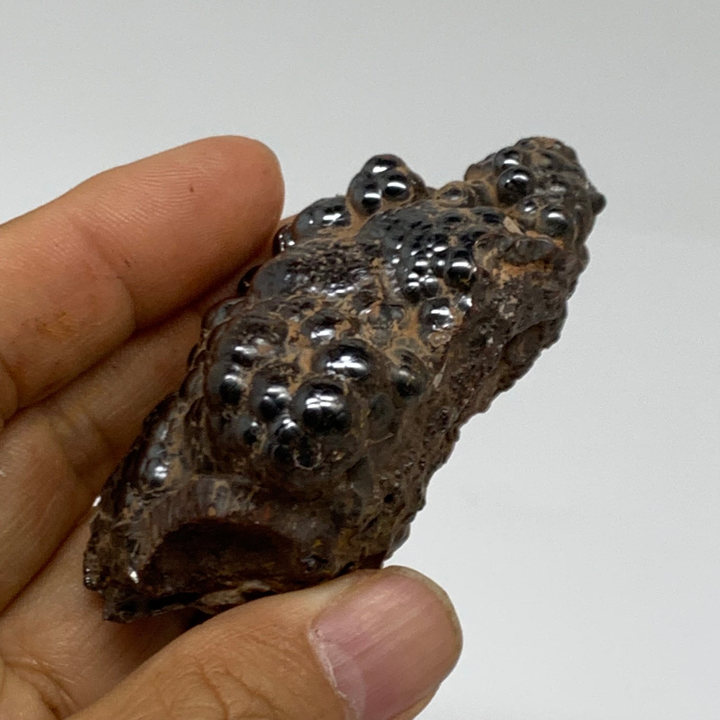 148.9g, 2.7"x1.6"x1.1", Rough Hematite Botryoidal Mineral Crystal, B38463
