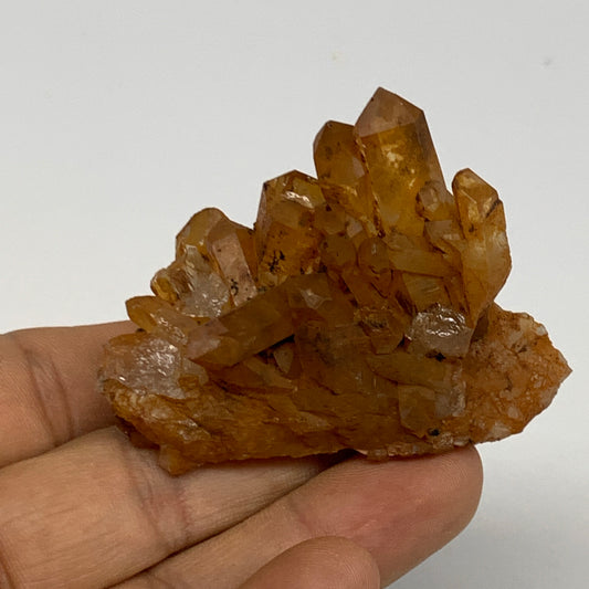 51.1g, 2.3"x1.8"x1.2", Orange Quartz Cluster Crystal Terminated @Brazil, B28925
