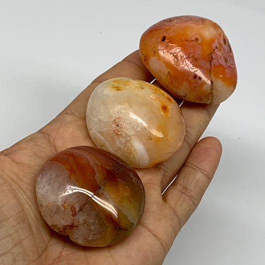 203.3g, 1.8"-2", 3pcs, Red Carnelian Palm-Stone Gem Crystal Polished, B37610