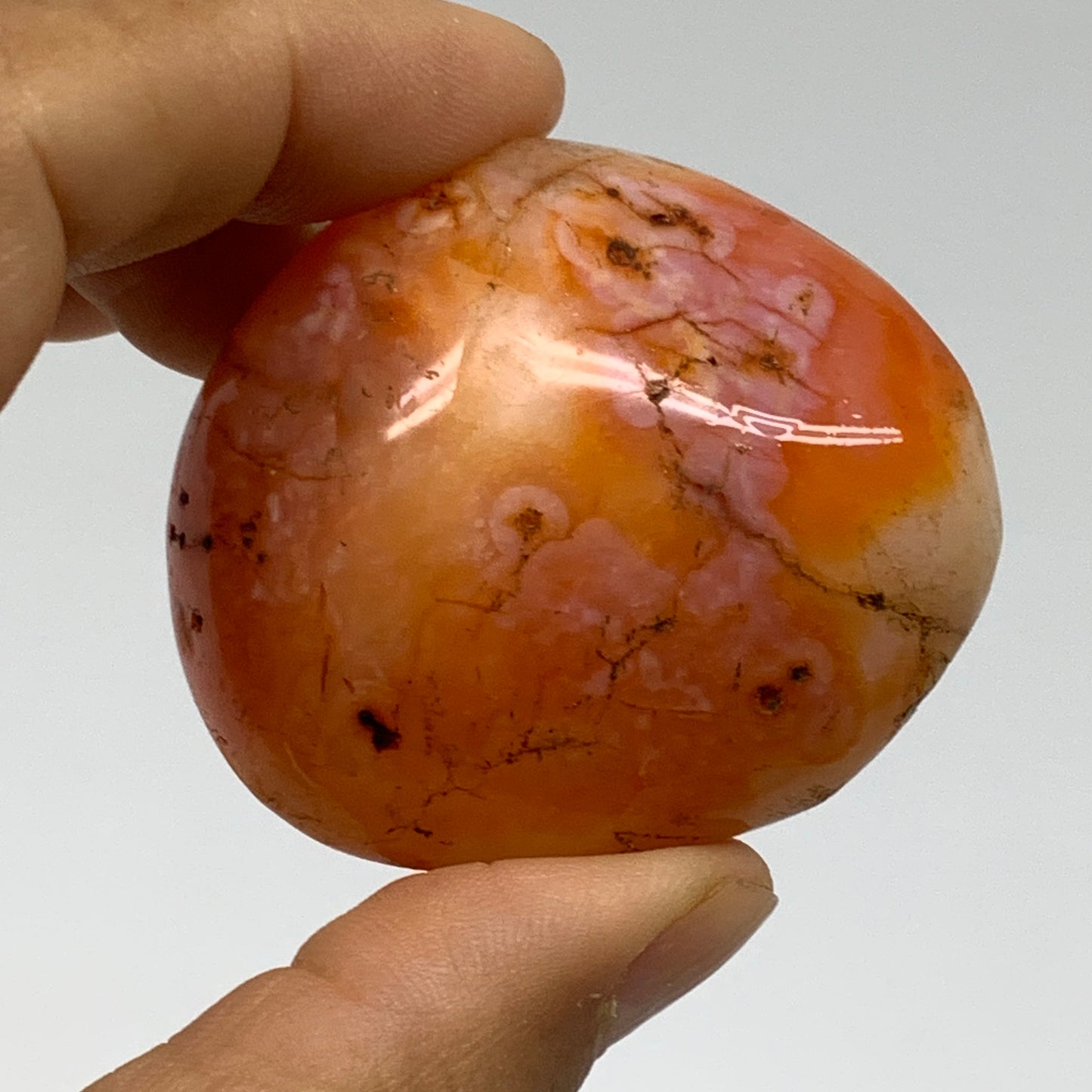 203.3g, 1.8"-2", 3pcs, Red Carnelian Palm-Stone Gem Crystal Polished, B37610