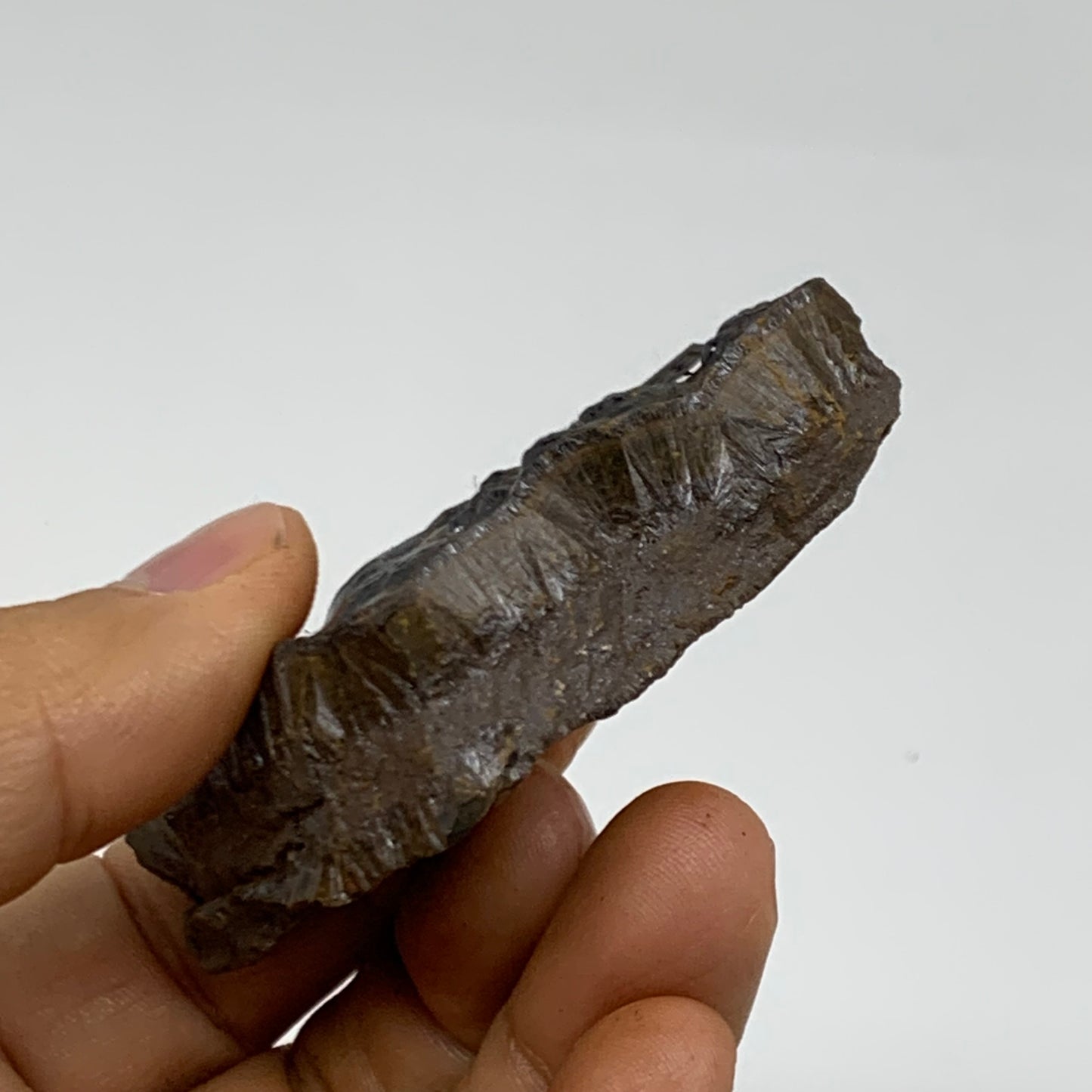 73.6g, 2.7"x1.4"x0.7", Rough Hematite Botryoidal Mineral Crystal, B38468