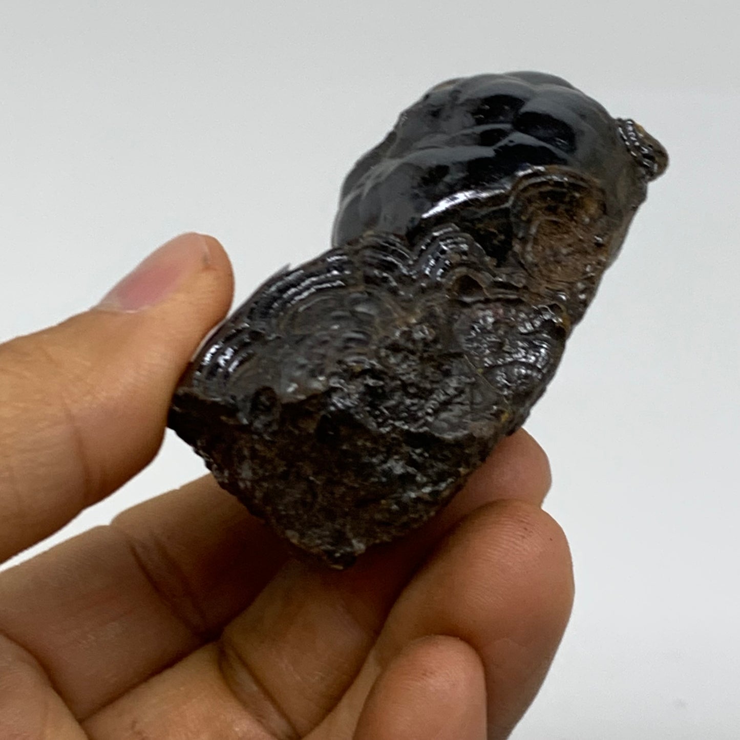 139.9g, 2.1"x1.8"x1.1", Rough Hematite Botryoidal Mineral Crystal, B38470