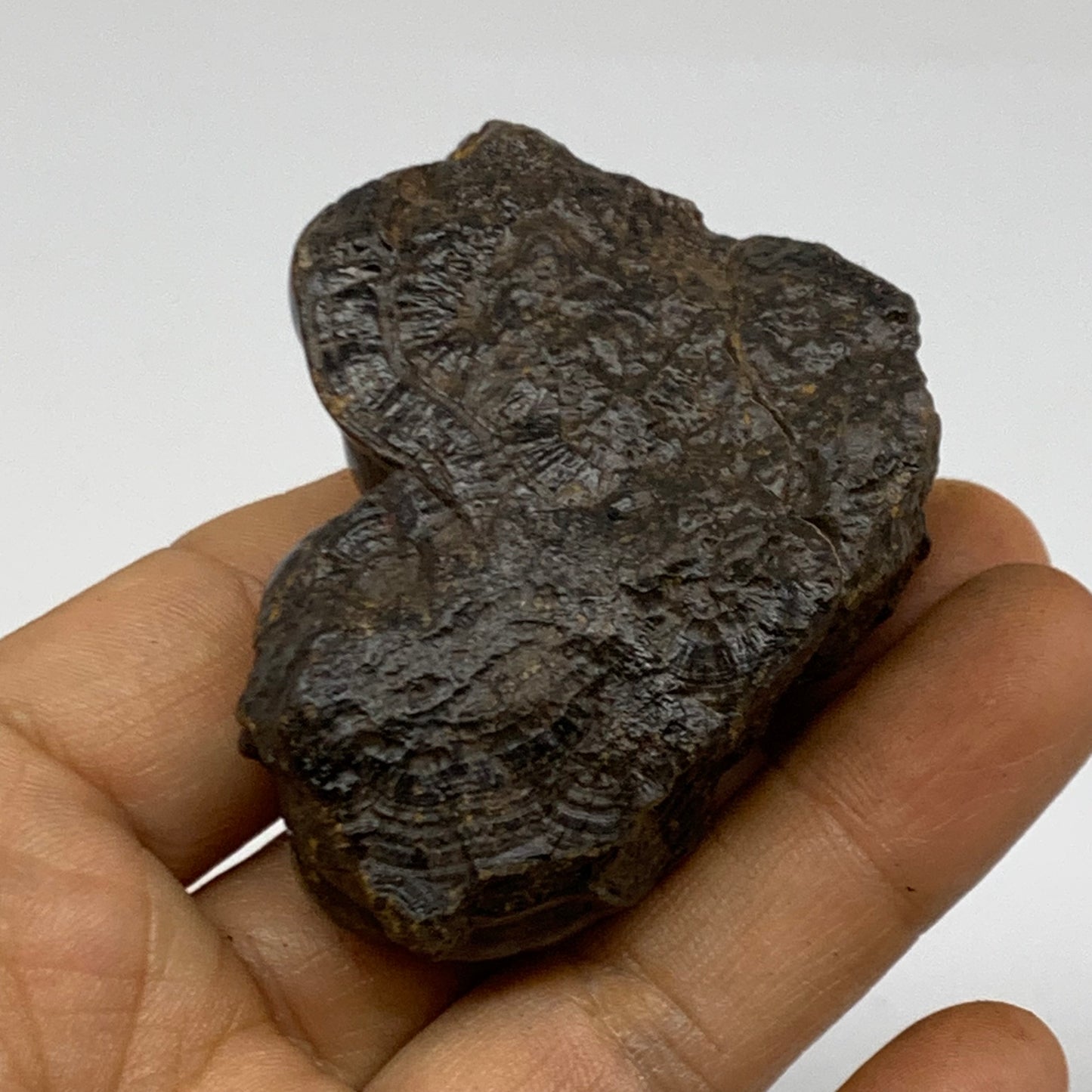 139.9g, 2.1"x1.8"x1.1", Rough Hematite Botryoidal Mineral Crystal, B38470