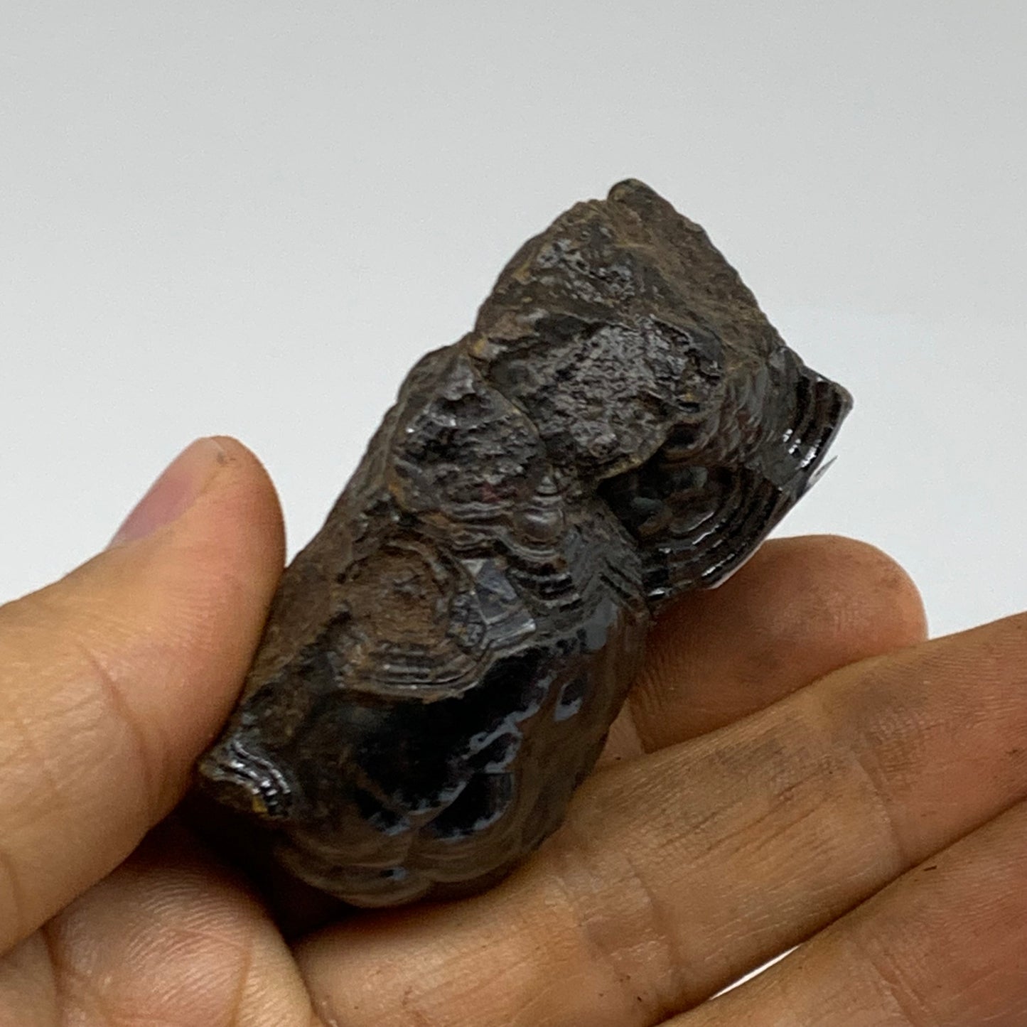 139.9g, 2.1"x1.8"x1.1", Rough Hematite Botryoidal Mineral Crystal, B38470