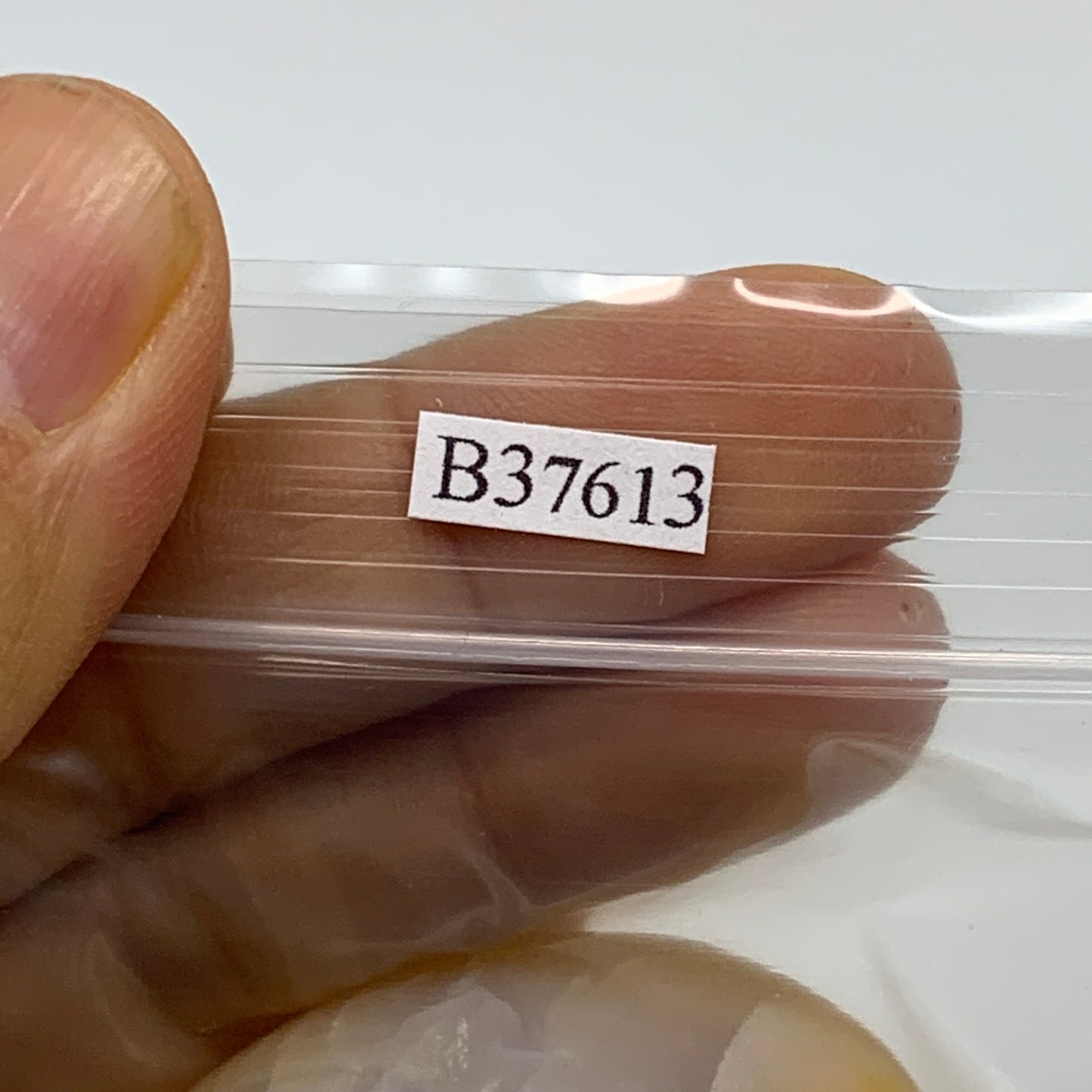 221.5g, 1.9"-2.1", 3pcs, Red Carnelian Palm-Stone Gem Crystal Polished, B37613