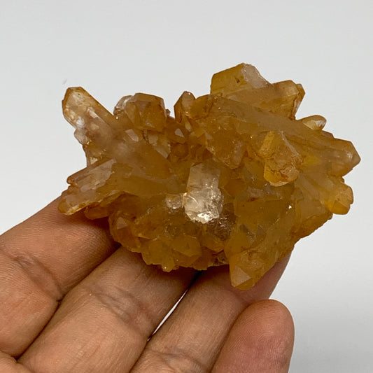 51g, 2.5"x2"x0.9", Orange Quartz Cluster Crystal Terminated @Brazil, B28933