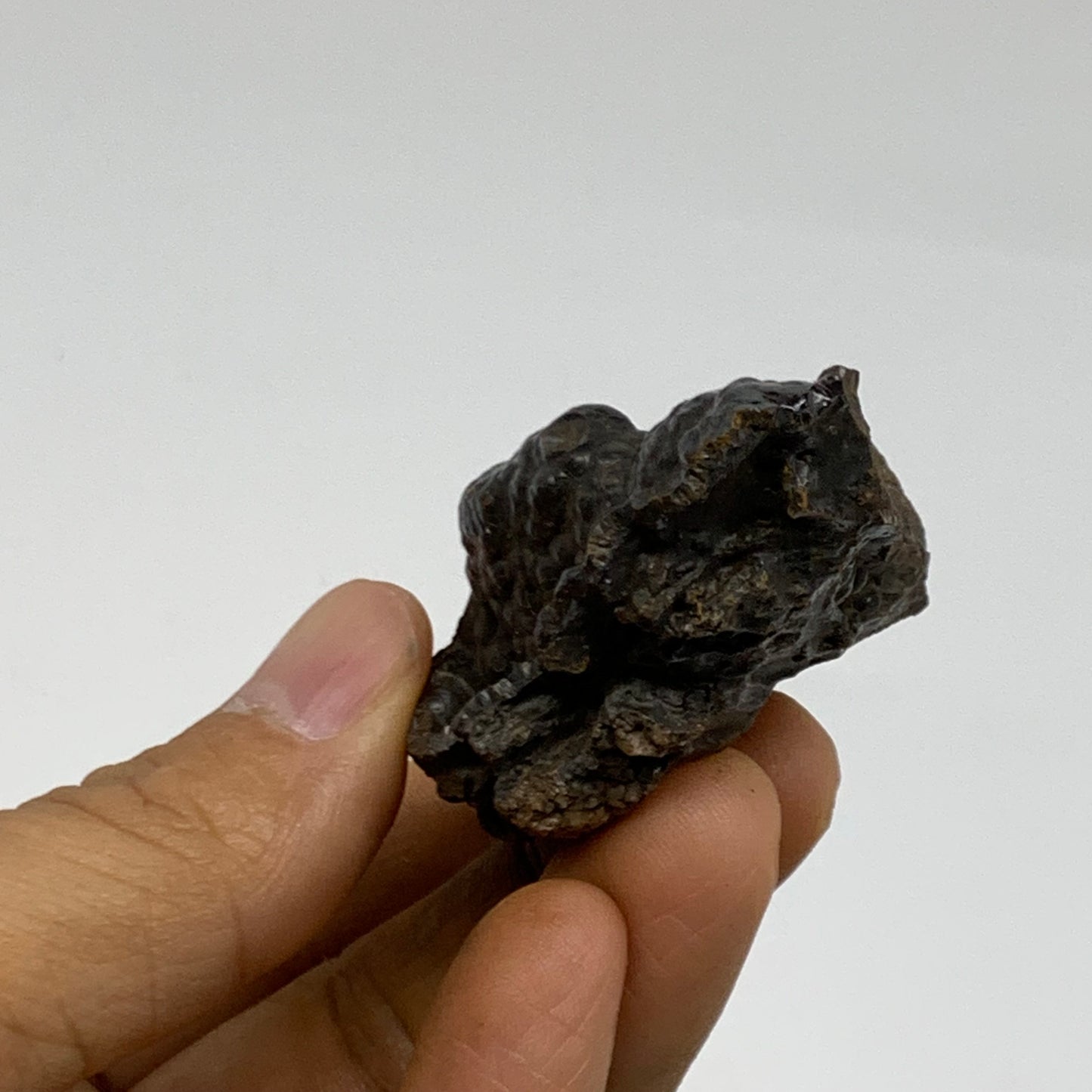 79.2g, 3"x1.4"x1", Rough Hematite Botryoidal Mineral Crystal, B38474