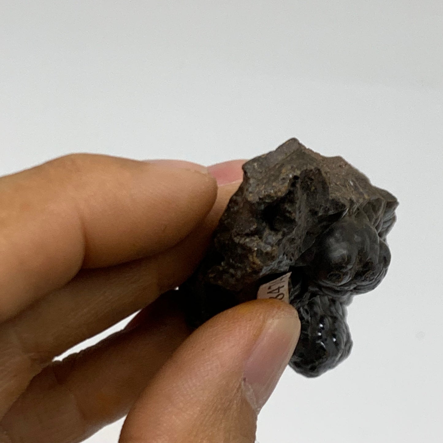 79.2g, 3"x1.4"x1", Rough Hematite Botryoidal Mineral Crystal, B38474