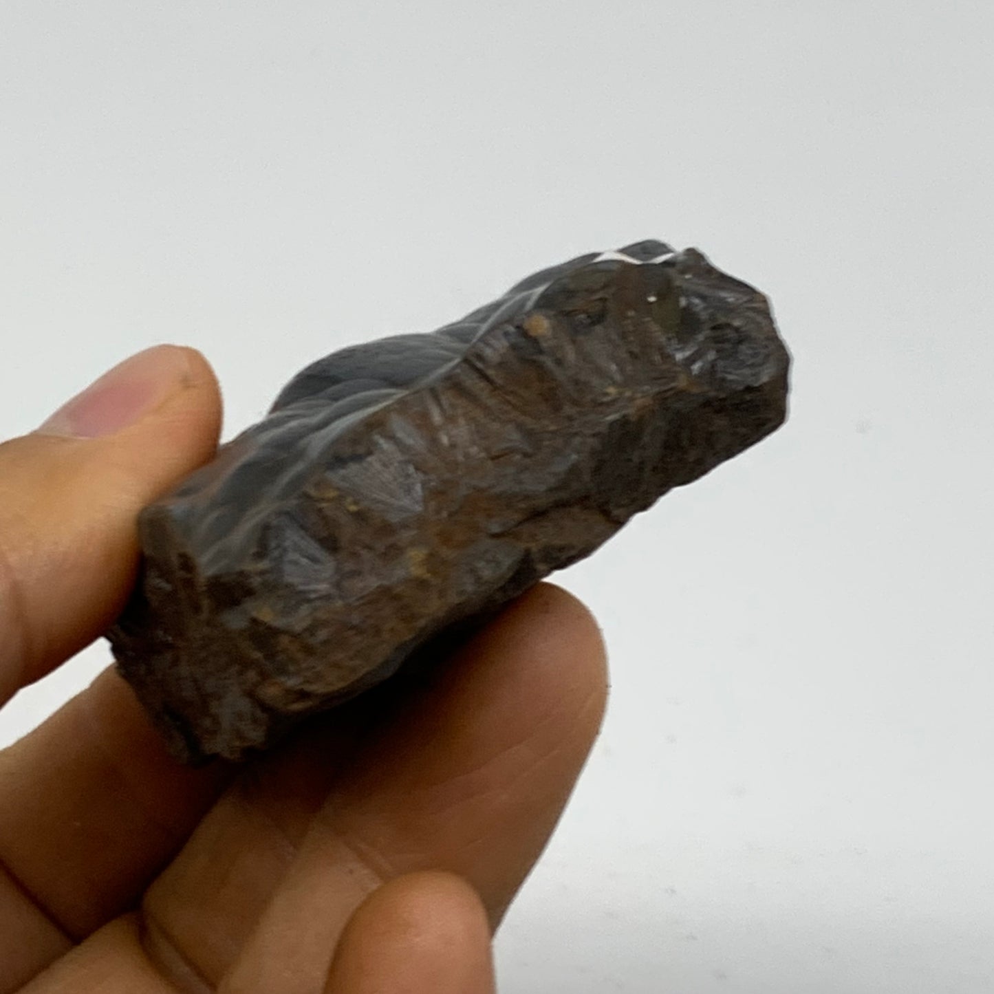 125g, 2"x1.9"x0.8", Rough Hematite Botryoidal Mineral Crystal, B38475