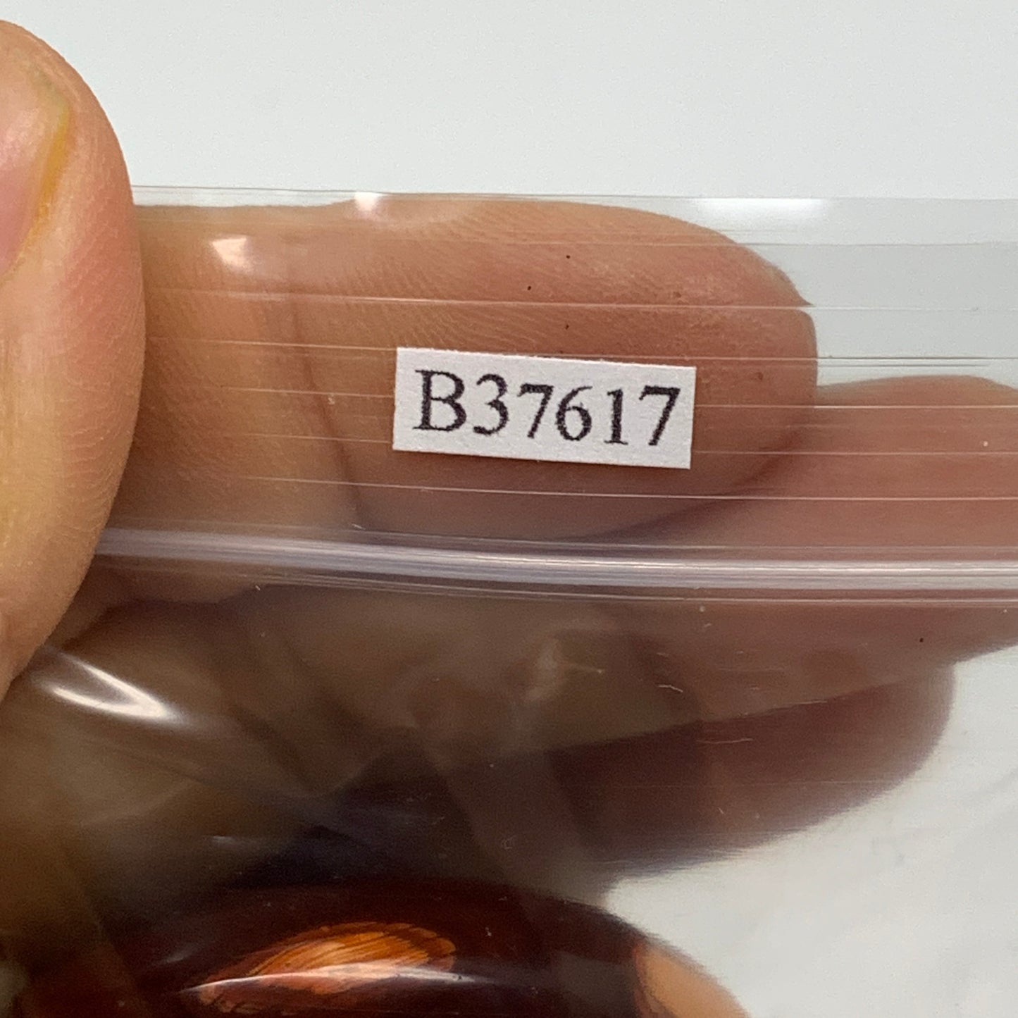 218g, 1.8"-2", 3pcs, Red Carnelian Palm-Stone Gem Crystal Polished, B37617