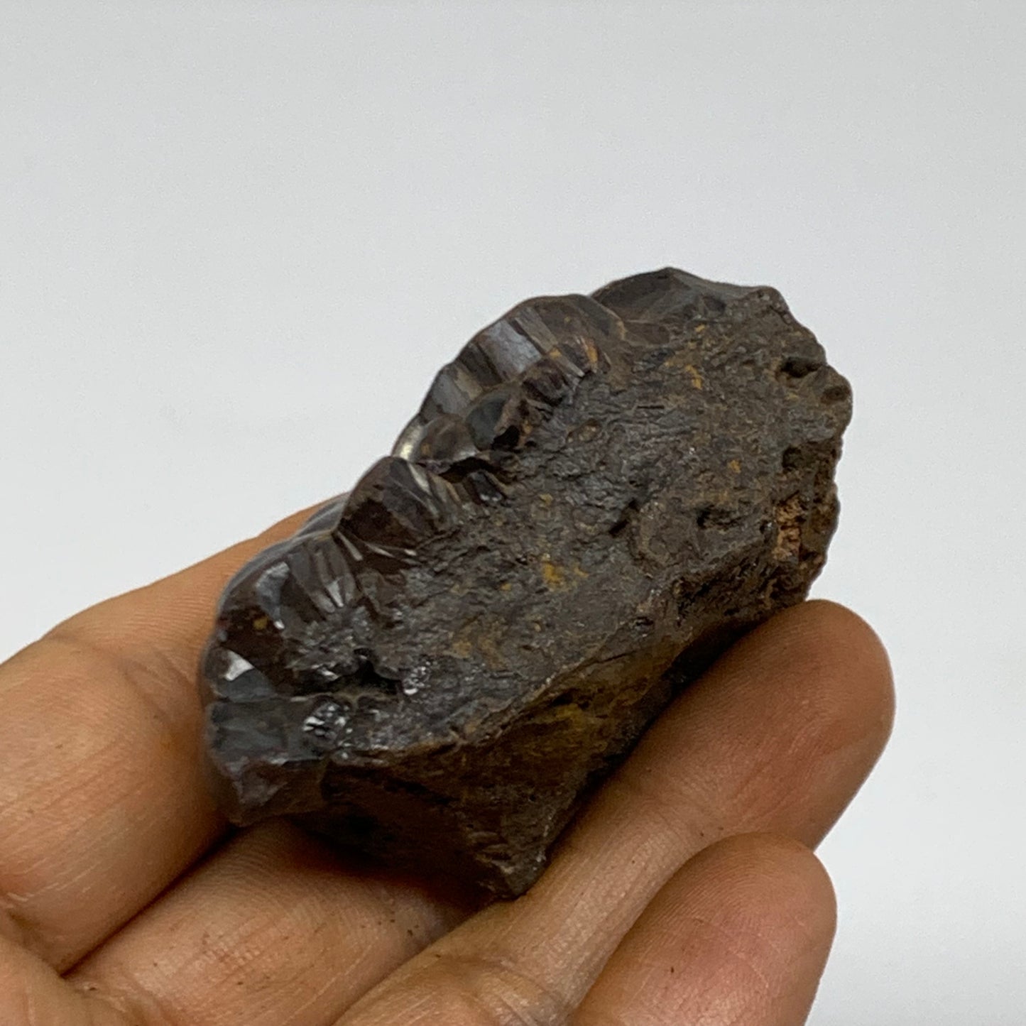 113.8g, 2.3"x1.3"x1", Rough Hematite Botryoidal Mineral Crystal, B38478