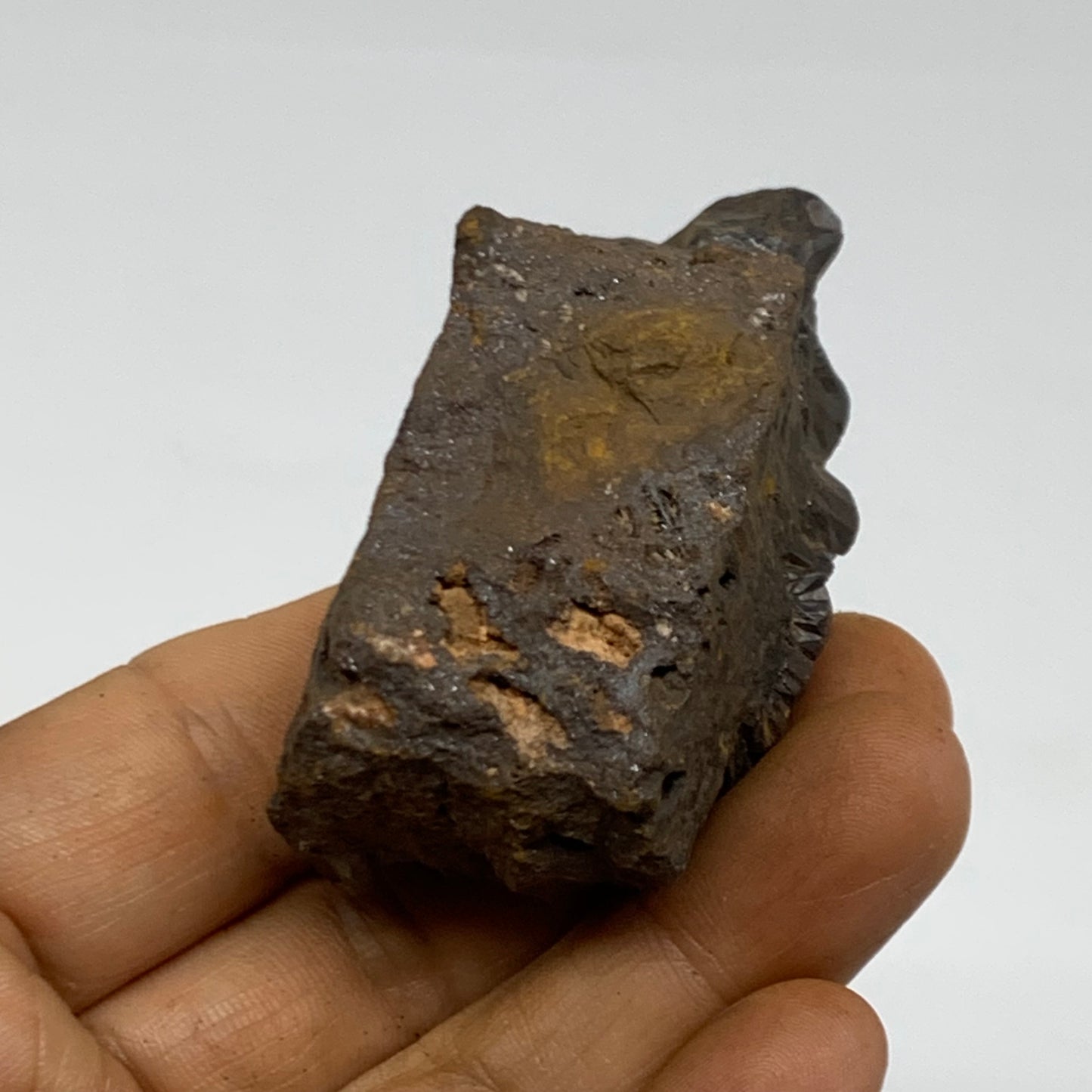 113.8g, 2.3"x1.3"x1", Rough Hematite Botryoidal Mineral Crystal, B38478