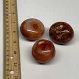 220.8g,1.6"-1.8", 3pcs, Small Red Carnelian Palm-Stone Gem Crystal Polished,B281
