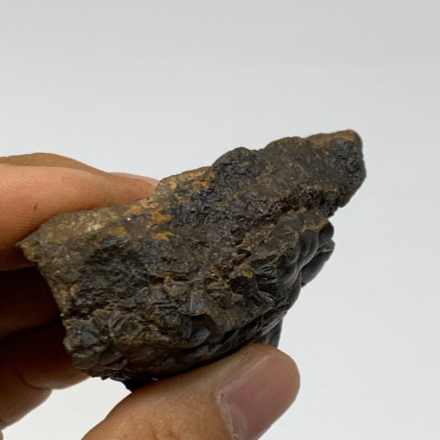 113g, 2.2"x2"x0.9", Rough Hematite Botryoidal Mineral Crystal, B38480