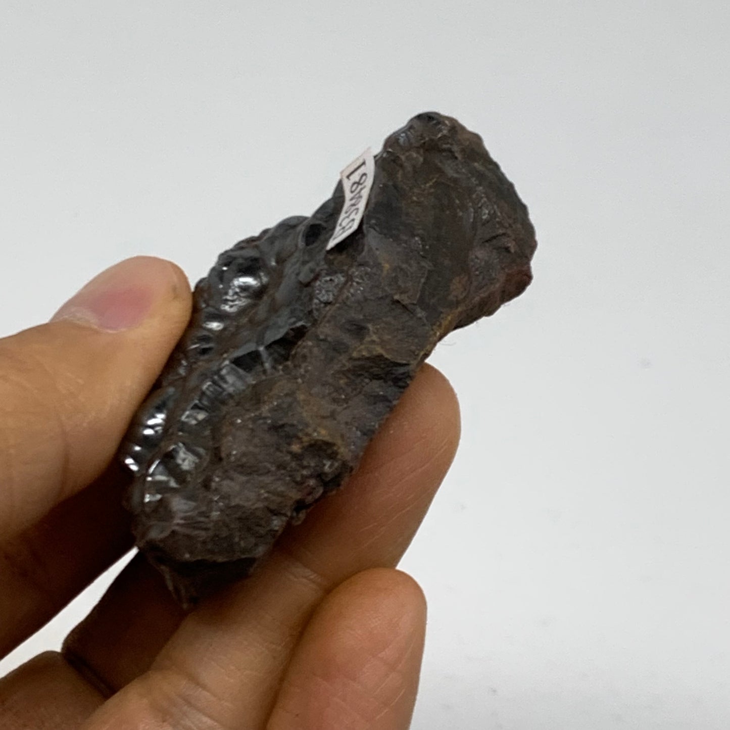 79.2g, 2.4"x1.2"x0.8", Rough Hematite Botryoidal Mineral Crystal, B38481