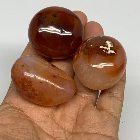 140.9g,1.5"-1.7", 3pcs, Small Red Carnelian Palm-Stone Gem Crystal Polished,B281